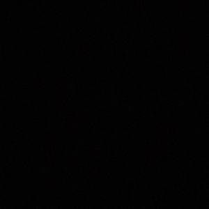 Meet your Posher, Joegi